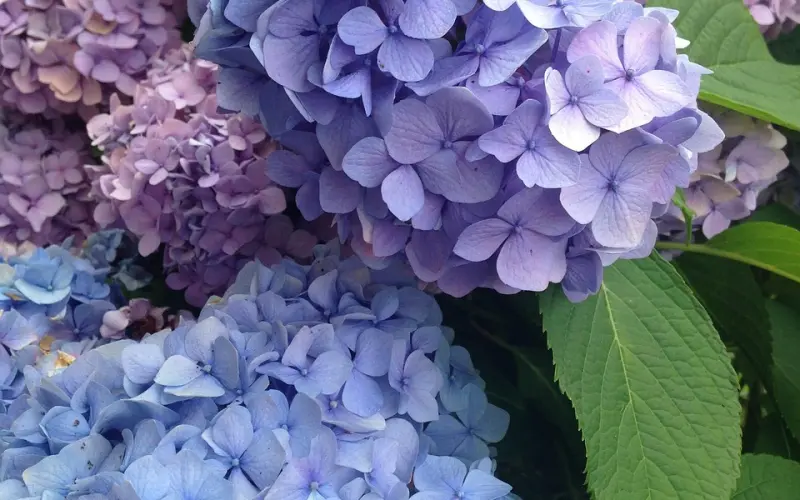 跟空姐同居6个月，是什么刺激体验？