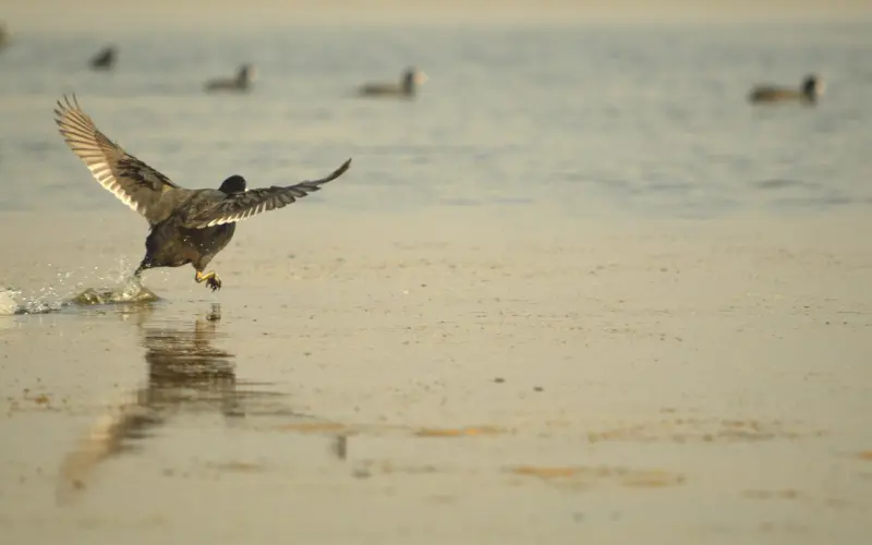 男生在恋爱中的共同特性有哪些？