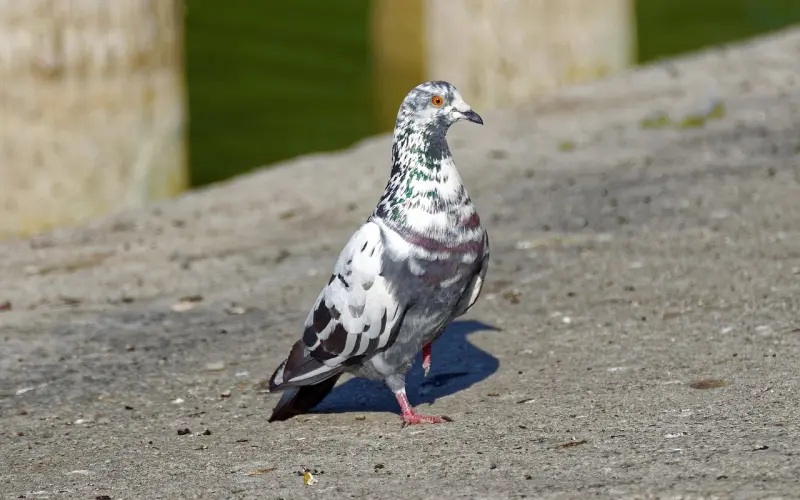 追女生最忌讳以下几点？