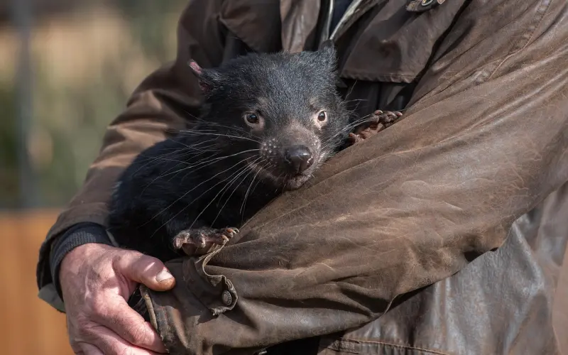 追妹子时有哪些一踩就爆的雷区？