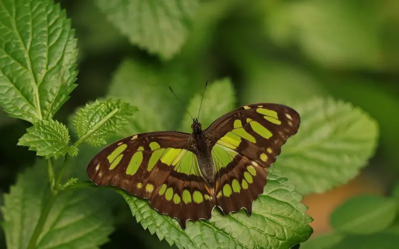 异地恋分手的征兆都有哪些