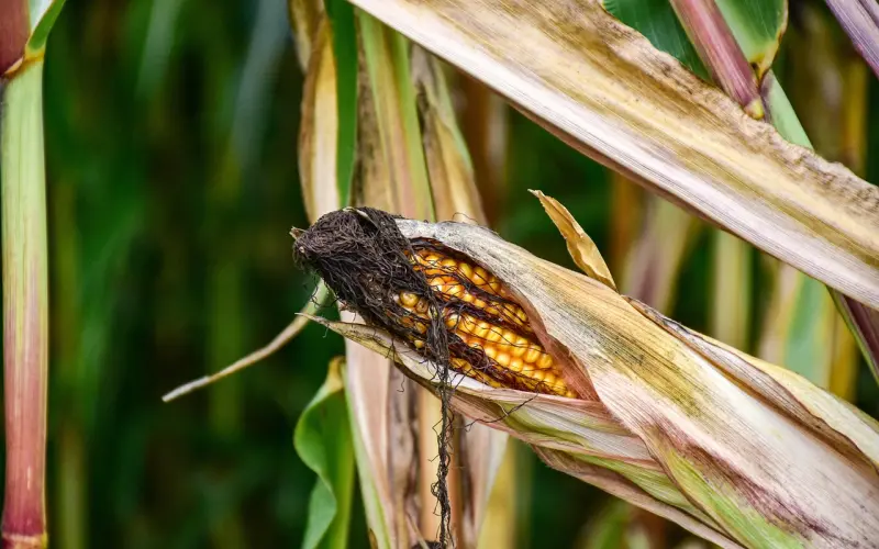 离婚，最怕的是什么？