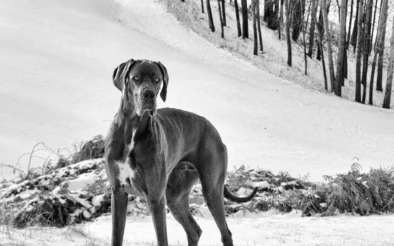 女人的哪些行为会看上去很掉价？