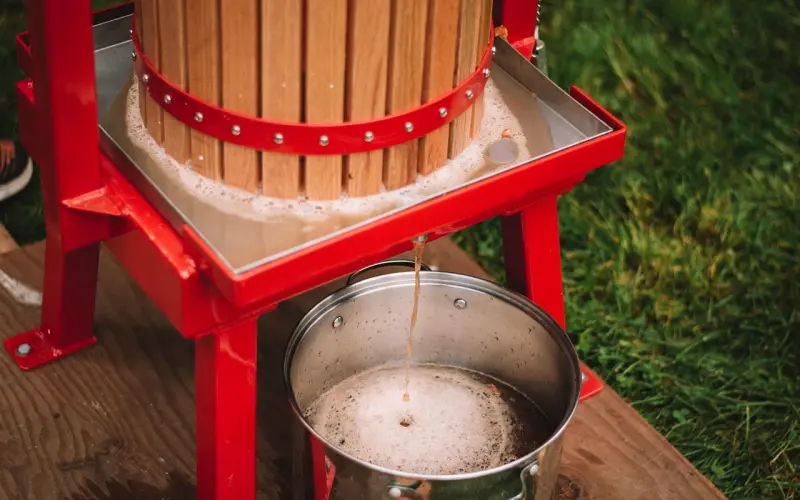 泰国佩戴最多的是什么佛牌？