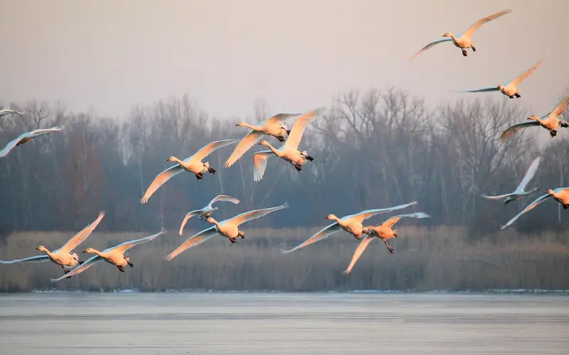 分手初期怎么做才有利于挽回男友？