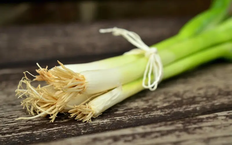 分手初期怎么做才有利于挽回男友？