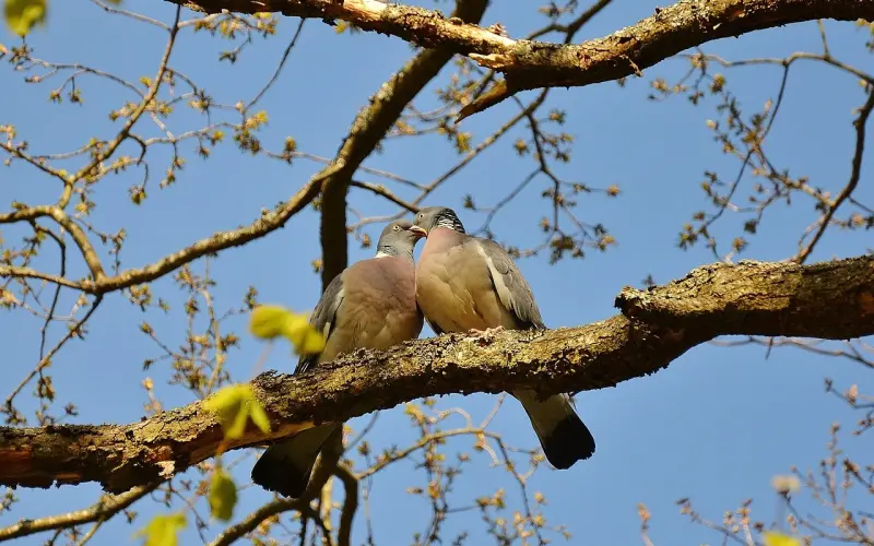 在一起做什么事，能让两人更亲近？