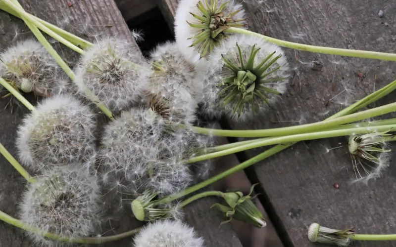 挽回爱情过程中容易出现哪些困惑？