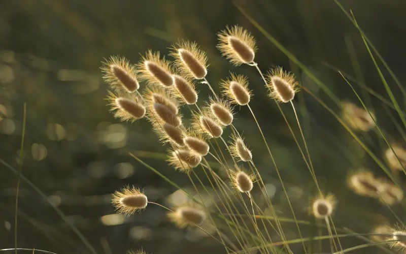 前任教会了你什么？