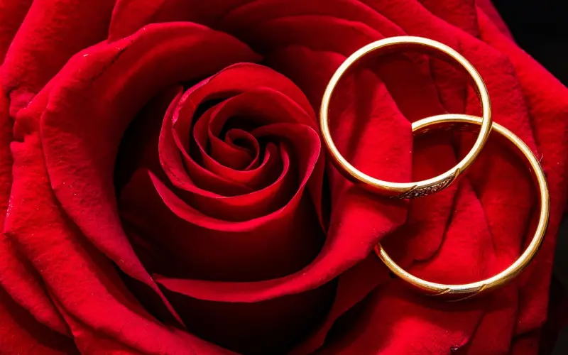 有女朋友的男生每天晚上都在干什么