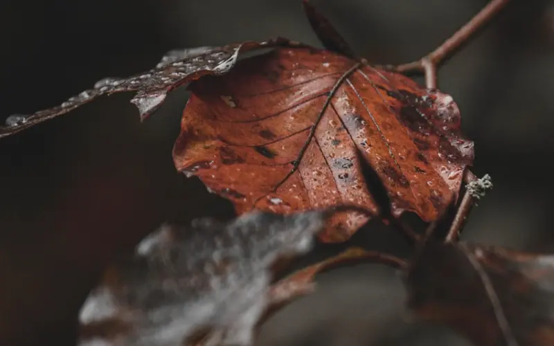 女生被追的时候心里都在想什么？