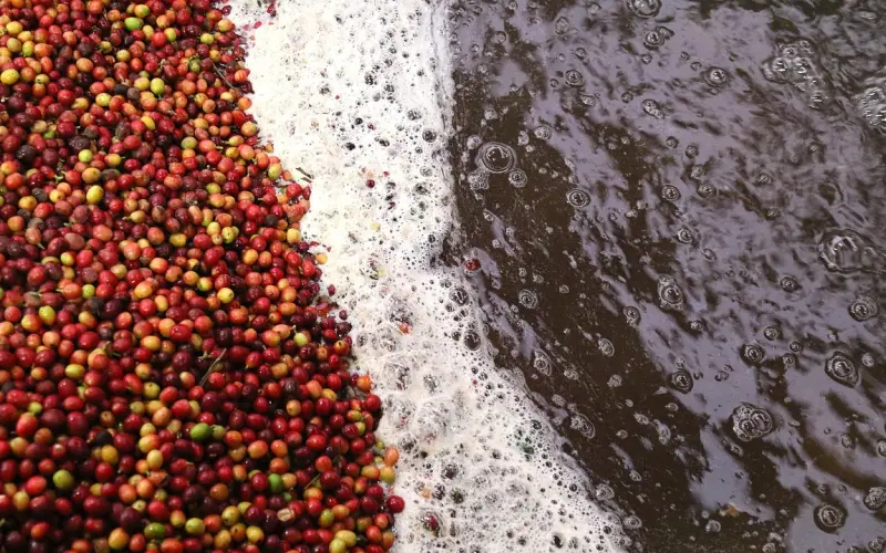 男女恋爱过程中需要注意什么？