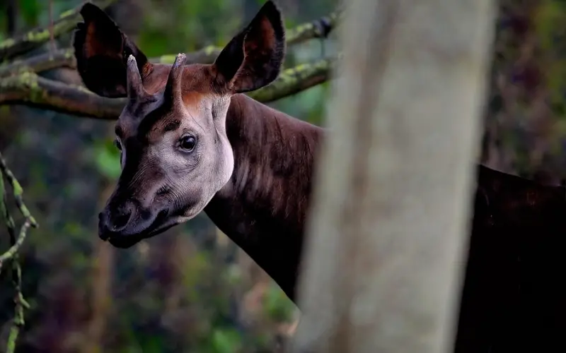 男人在择偶时，更看重的是什么？