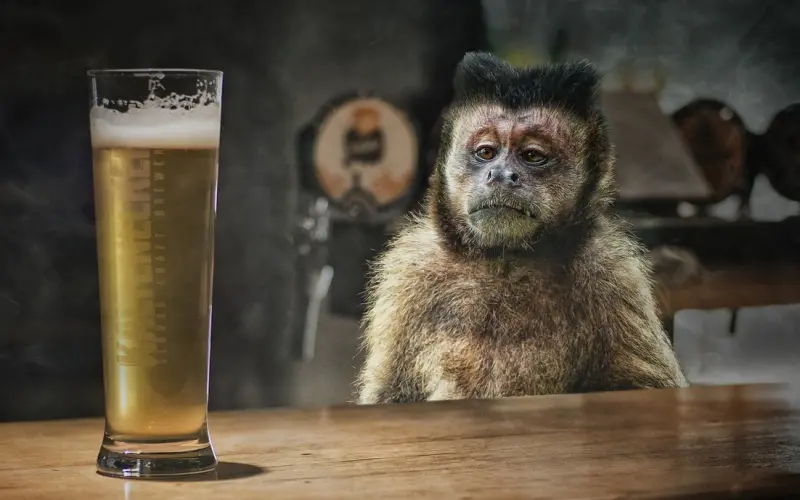 女人喝醉以后，都想做些什么？