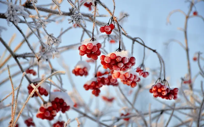 你属什么？你脾气就是什么！准爆了