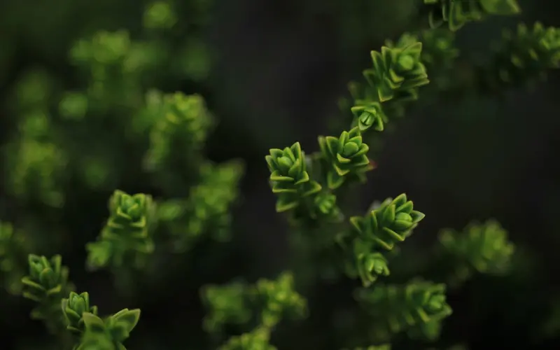 姐弟恋是什么感觉？