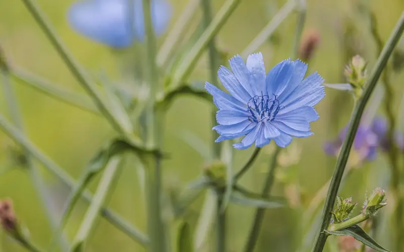 男人不再主动意味着什么？