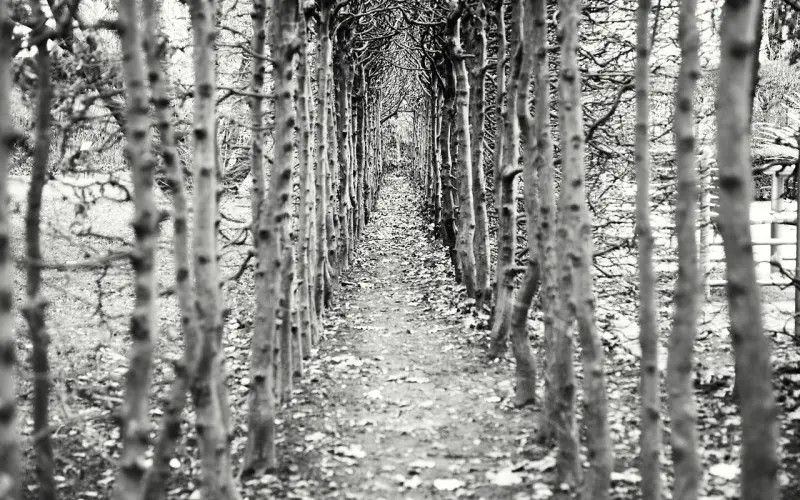 男友屏蔽你的朋友圈意味着什么？应该挽回吗？