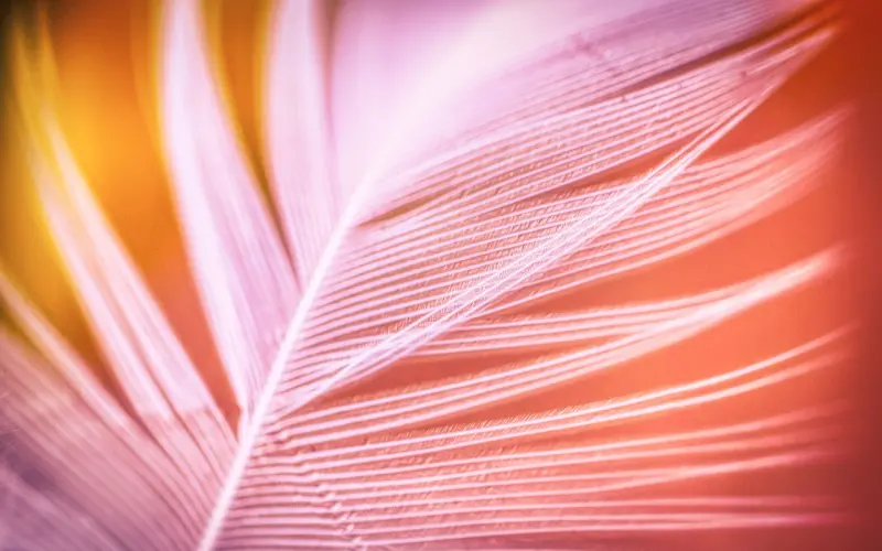 爱一个人，究竟意味着什么？