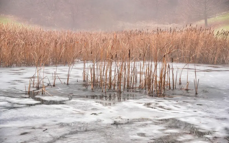 挖墙脚什么意思？被挖墙脚如何挽回