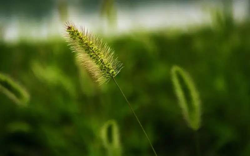 最理性的暗恋是什么样子的？