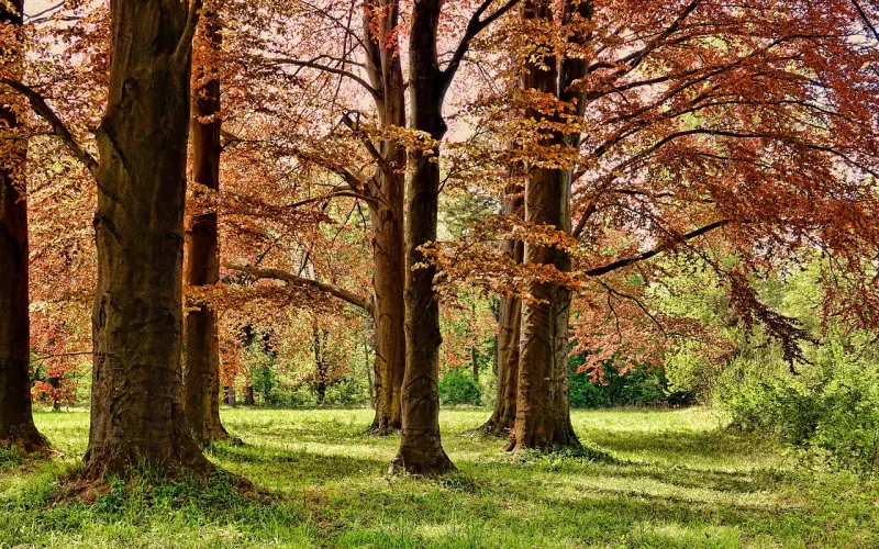 男朋友有什么用处？