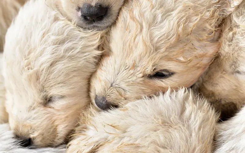 那些高中就在一起的小情侣，后来都怎么样了