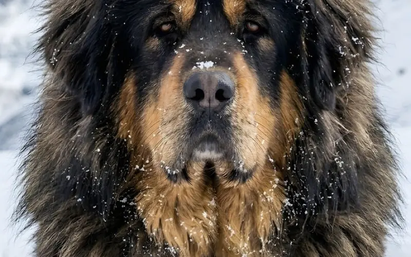 男人出轨对家庭的危害是什么？老公有外遇怎么挽留？