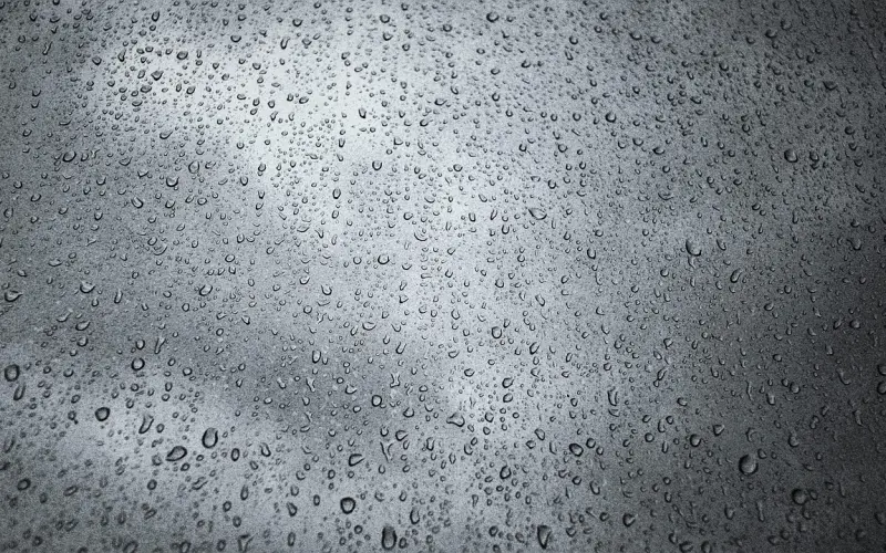 为了挽回爱情，你都做过什么卑微的事？