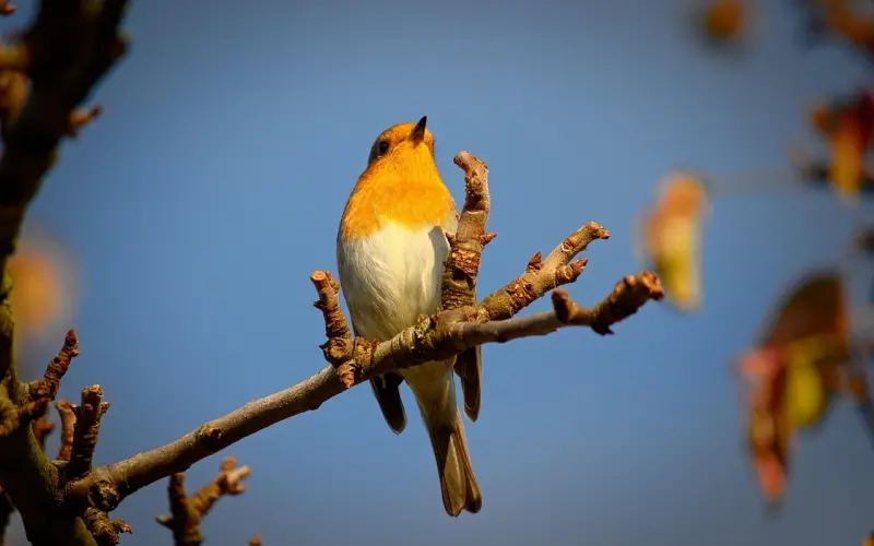 和不成熟的男人谈恋爱是一种什么体验？