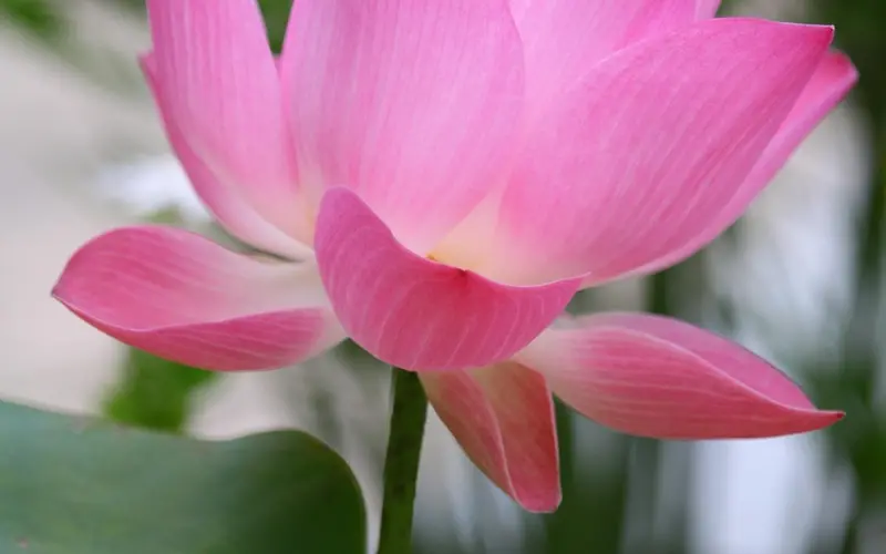 和渣女谈恋爱是一种什么体验？