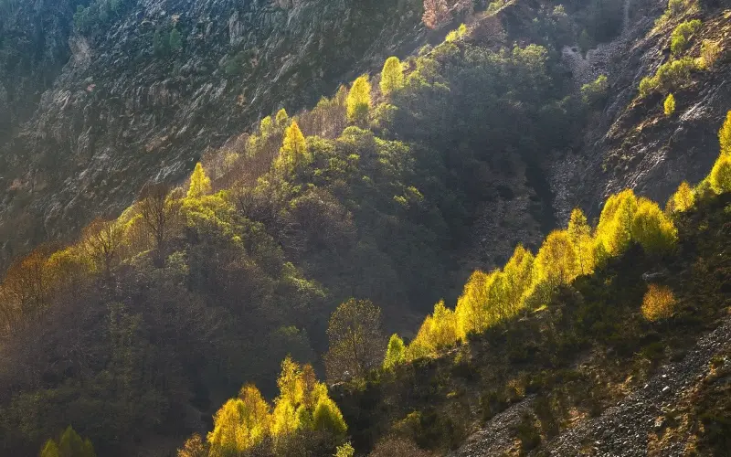 到底是什么在影响你挽回爱人？