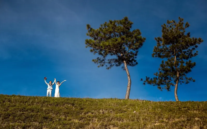 什么叫做爱情？看完他们我才知道