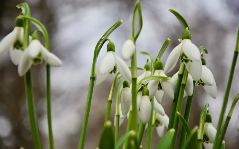 什么是情降系列（三）同性的爱情可以做情降吗？