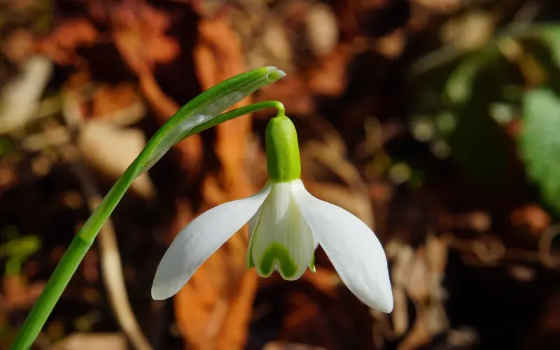 什么是情降系列（二十二）快问快答之情降的常见问题第十二弹