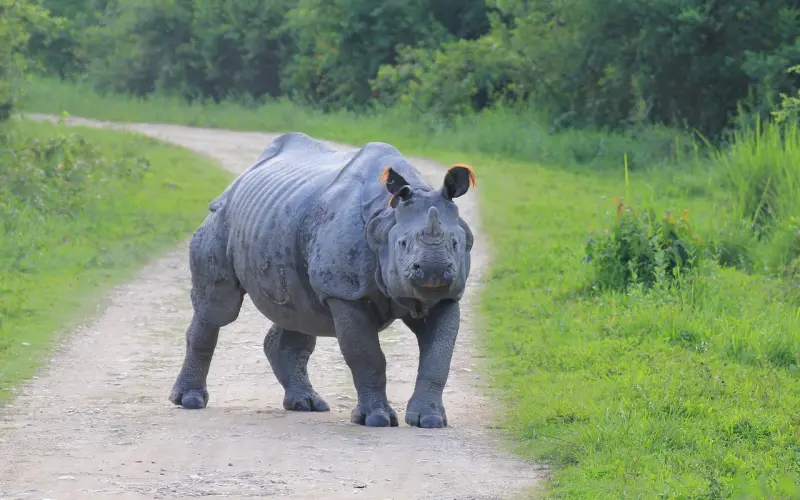 什么才是正确的挽回