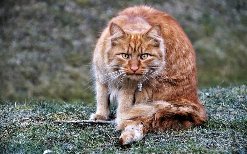 和高自己2分的男友合照，是什么样的效果？