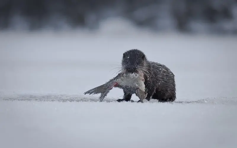 男人身上最不能忍的毛病是什么？