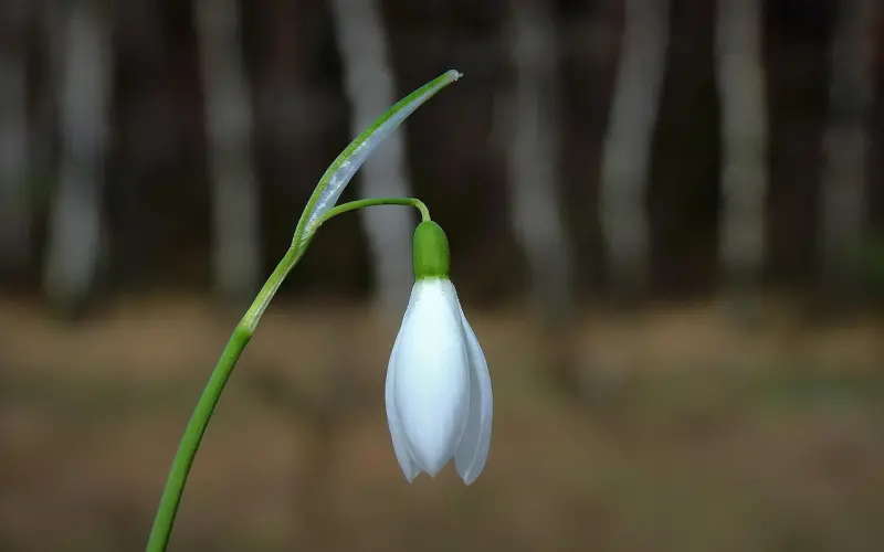 什么是情降系列（十二）很多人会问情降不是100%的话那我为什么要做情降呢？