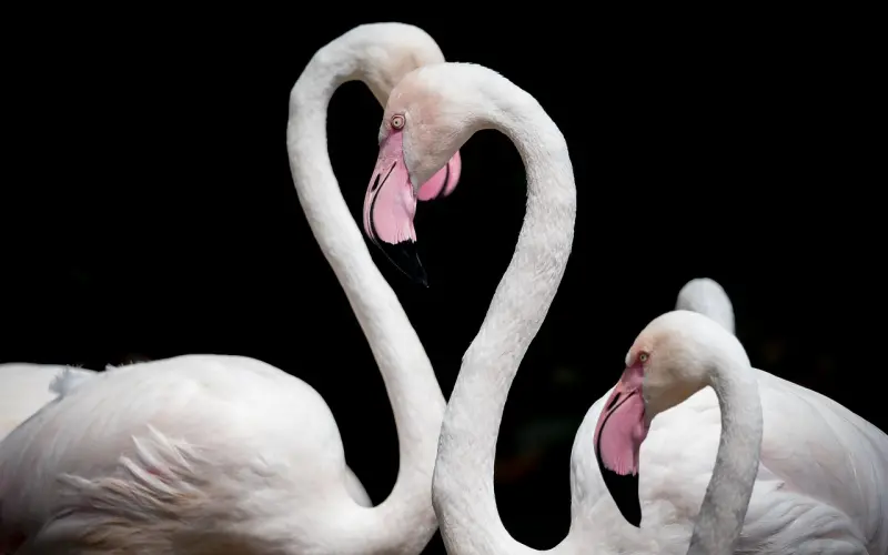 那些渴望爱的女生，真实的内心世界是怎样的？