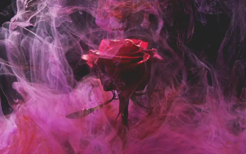 什么样的女生，难脱单？