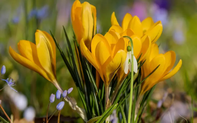 什么样的婚姻该放手，夫妻走到这一步早离早解脱