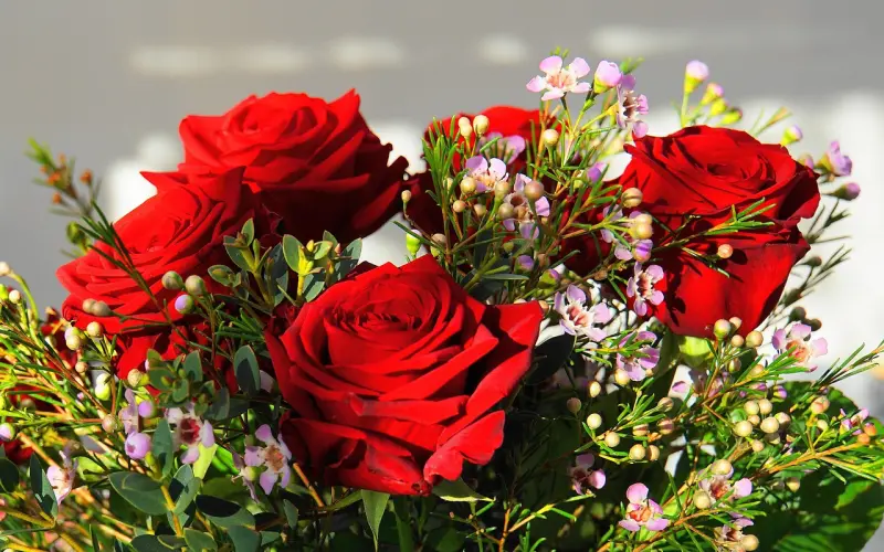 女生最喜欢找什么样的男人谈恋爱，聊天