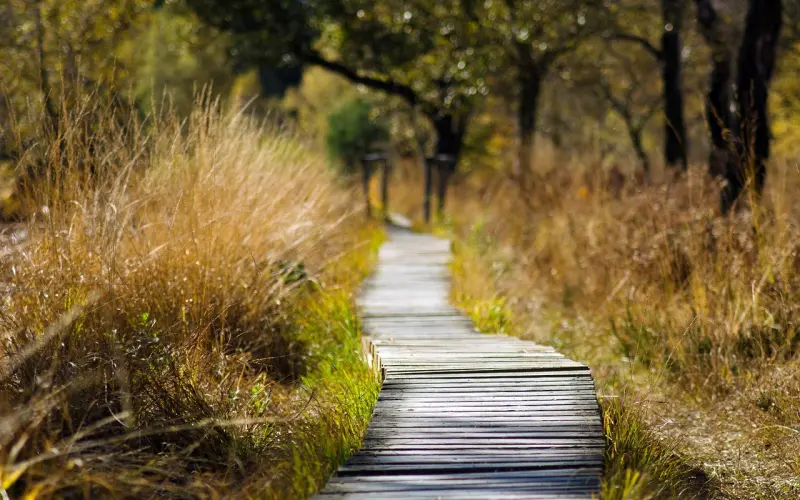 高段位聊天术，你练到哪一级？