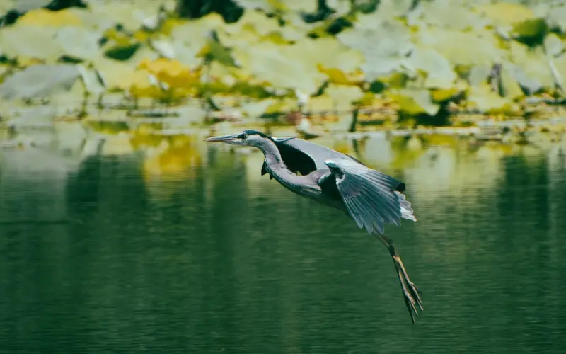 是什么让你开始怀疑你的爱情