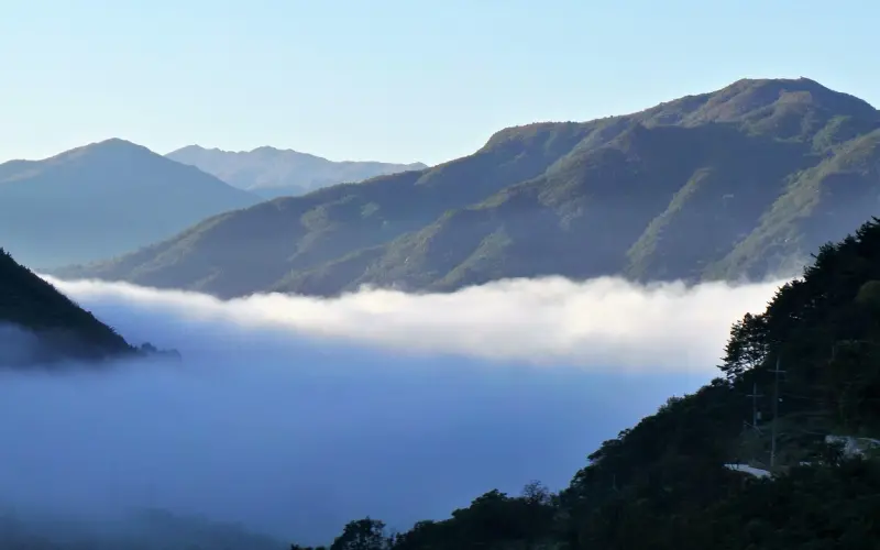 问女生哪些问题， 会让女生觉得这人：妈的智障？