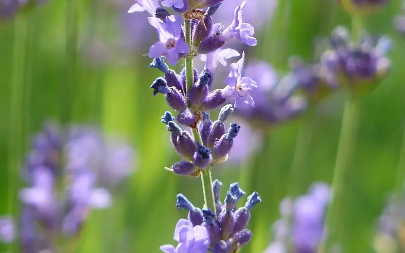 真正让前任接受复合的，是这个因素！