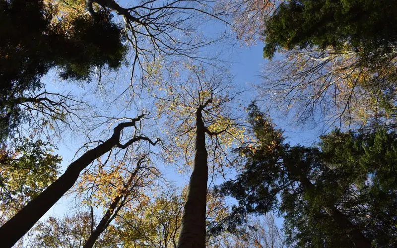 “我以为”的背后，藏着什么秘密？