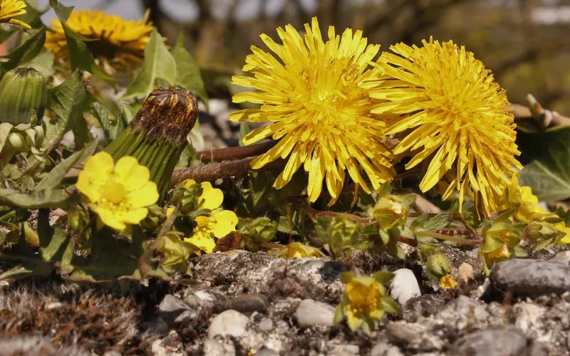 女生最讨厌男生哪些缺点？