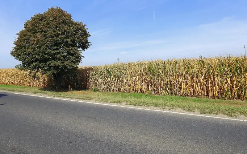 女人想要复婚怎么做，有效挽回婚姻的方法技巧